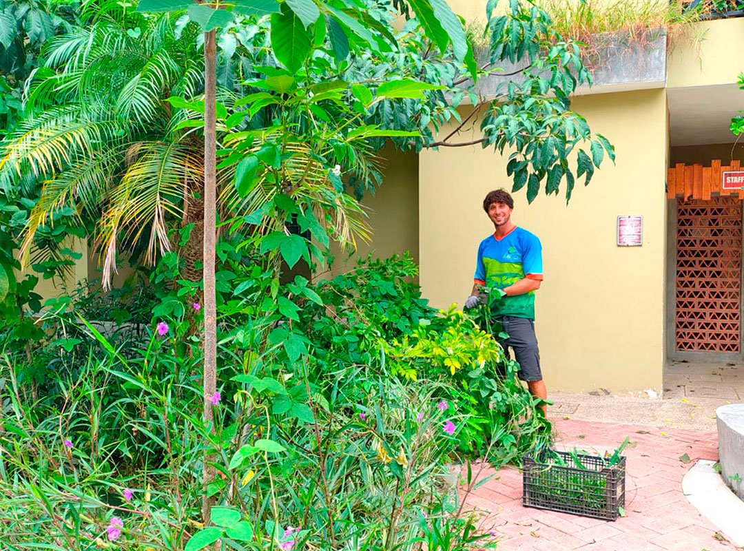 maintenancevolunteer