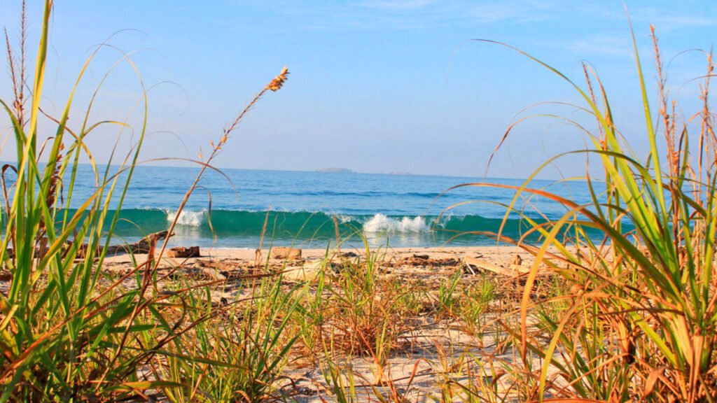 Playa La Lancha: Surf, Nature & Daily Life