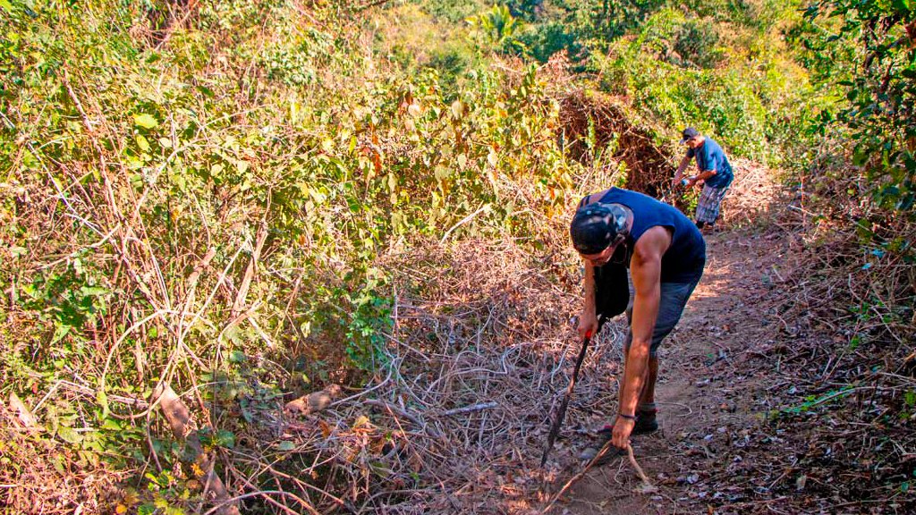 Trail Building & Maintenance | Volunteer trailbuildingprojecxts