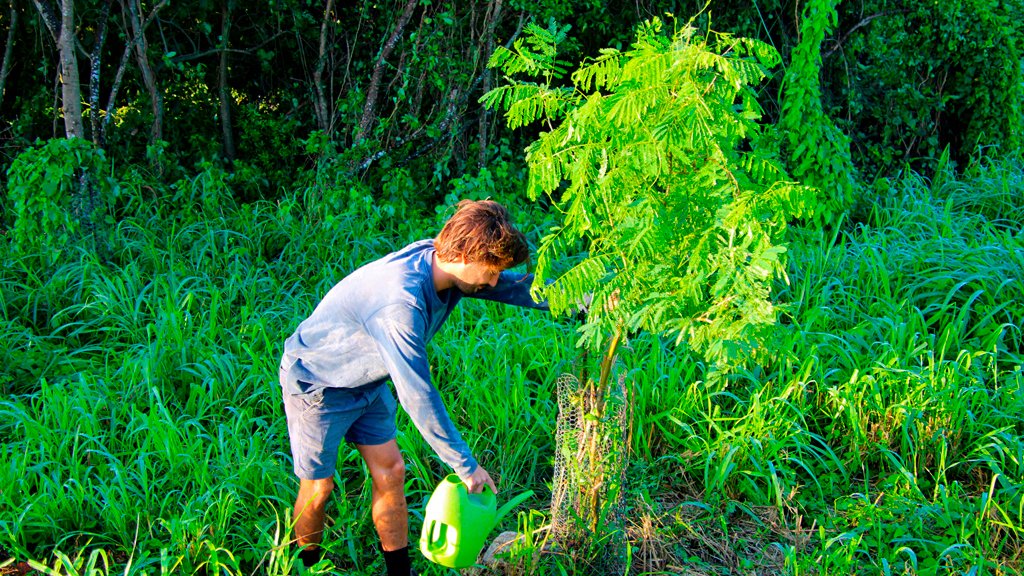 Trail & Eco Projects | Volunteers volunteerecoprojects