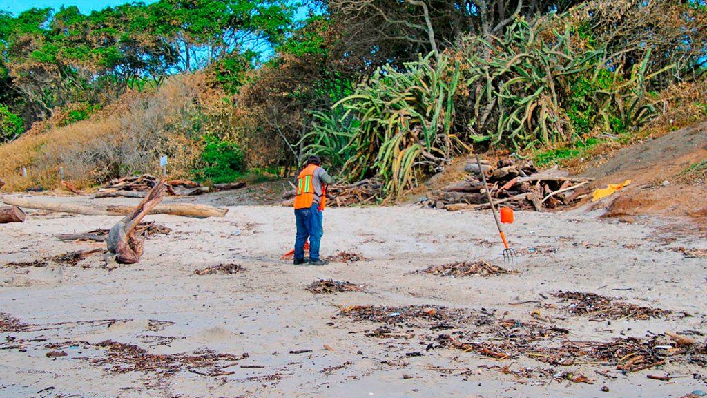 Trail & Eco Projects | Volunteers wildmexcleaningprojects