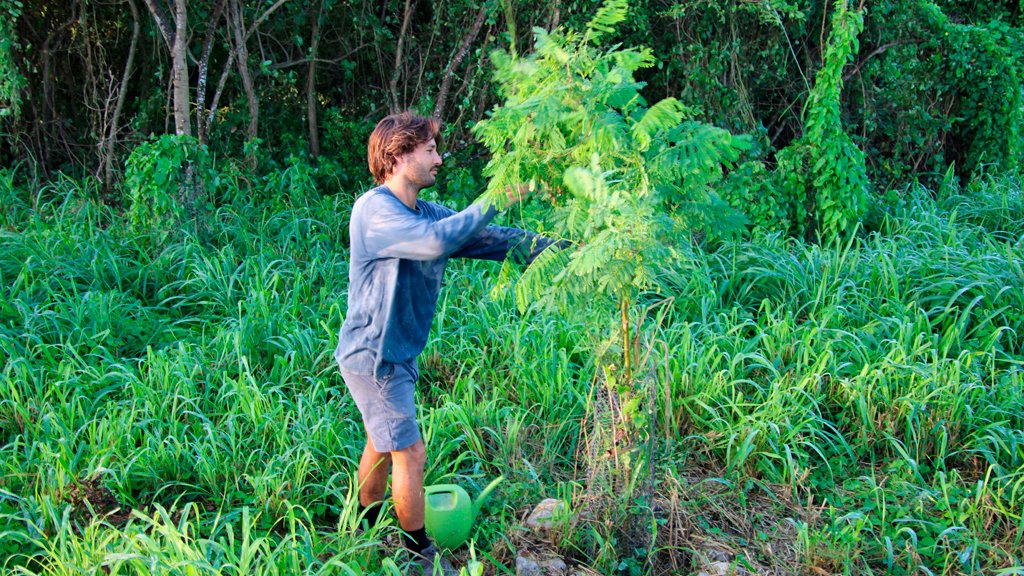 Trail & Eco Projects | Volunteers wildmexecoprojects